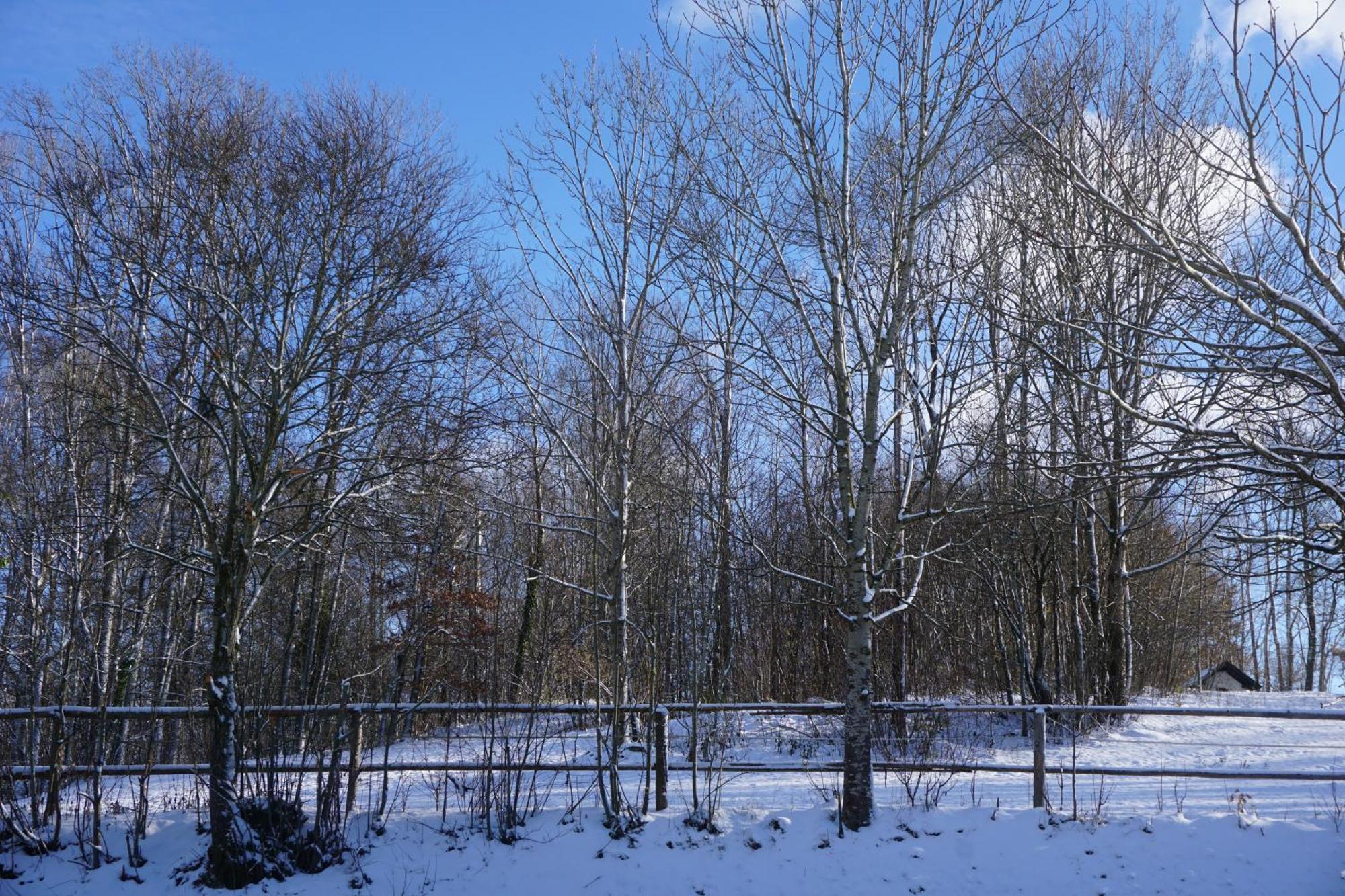 Chalet Waldzeit Zachenberg Eksteriør bilde
